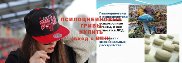 не бодяженный Алзамай